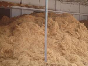 Fibra de Coco 100% Natural Ecológica de Alta Calidad, Seca, de 6-20 cm, 100% Pura y Natural para Agricultura, Marca GWE, 48x30x18 pulgadas - Product Image 4