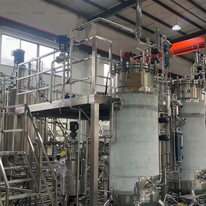 Airlift <strong>Fermenter</strong> <strong>Bioreactor</strong> Industrial Stainless Steel Pilot <strong>Bioreactor</strong> With Automatic Control System - Product Image 4