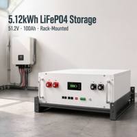 Batterie solaire LiFePO4 murale 51,2 V 48 V 100 Ah 200 Ah 300 Ah pour système de stockage d'énergie domestique