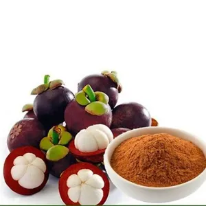 Garcinia mangostana L 100% чистый органический пурпурный экстракт фруктового порошка мангостина 10%-90% с кожурой для чая