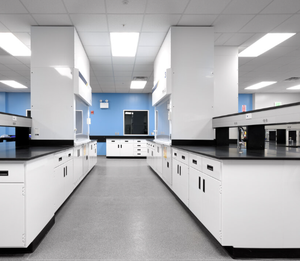 Encimeras de resina fenólica Brikley, encimeras de laboratorio laminadas de grado sólido de 12mm, paneles de campana de humos de tablero resistentes a productos químicos - Product Image 4