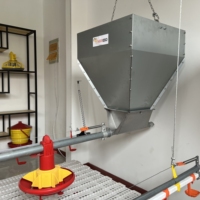 Mangeoire automatique pour volailles, bac à nourriture en plastique pour poulets, pour système d'alimentation des poulets de chair