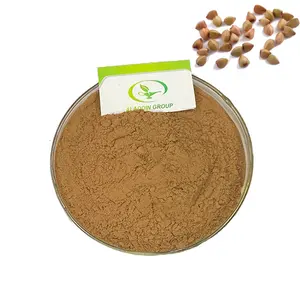 Haccp New product Food Grade Free sample buck wheat extract buckwheat extract buckwheat powder