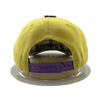 Topi Baseball Snapback 6 Panel Unisex Berkualitas Tinggi Bordir Puff Custom Terry Bows Formal Sporty Terstruktur Puff Printing