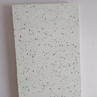 Plaques de plafond ignifuges