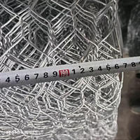 Filet hexagonal galvanisé à triple torsion pour cage à lapins, filet de clôture pour volailles en PVC enduit de plastique