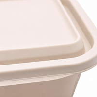 Boîte de rangement pour nouilles en plastique PP de qualité alimentaire, écologique, rectangulaire, réutilisable, avec couvercle, pour la cuisine, le restaurant, l'emballage alimentaire