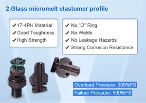 FST800-211A נמוך עלות מחיר תעשייתי מים אוויר גז נוזלי לחץ חיישן עם CE/RoHS