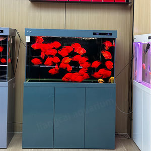 Kleine Ultra Helder Glas <span class=keywords><strong>Aquarium</strong></span> 260l Laag Ijzer Ultra Helder Glas Alles-In-Één Zoetwater <span class=keywords><strong>Aquarium</strong></span> Met Ingebouwde Filter - Product Image 3