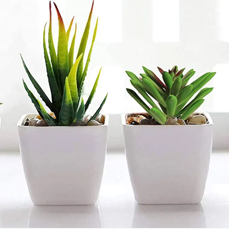 Mini plantas artificiales de plástico para el hogar, macetas de varios tamaños, verde, suculentas, bonsái, venta al por mayor