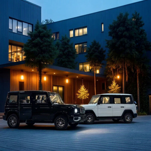 Vehículo SUV Todoterreno de 4 Puertas con Carrocería Totalmente Metálica, Eléctrico, para Desplazamientos Diarios y Aventuras al Aire Libre - Product Image 5