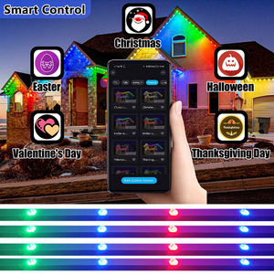 Vĩnh viễn ngoài trời Puck dẫn đèn giáng sinh trắng theo dõi ws2811 pixels 12V xconnect đá quý đèn - Product Image 2