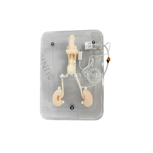 Simulador de Entrenamiento Ureteroscópico SY-NS12-1, Sistema Completo de Entrenamiento en Endoscopia Urológica para Estudiantes de Medicina - Product Image 3