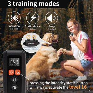 <span class=keywords><strong>Collar</strong></span> de Adiestramiento para Perros con Control Remoto, Sonido, Vibración, Seguridad, Doble Descarga Eléctrica - Product Image 2