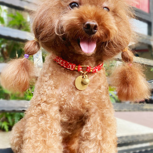 Collar personalizado tejido a mano para perros pequeños y cachorros, Collar ajustable para gatos, Collar antipérdida para gatos - Product Image 2