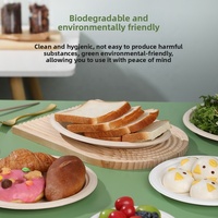 Assiette de fête jetable écologique de 9 pouces en bagasse de canne à sucre polie, classique, biodégradable et compostable