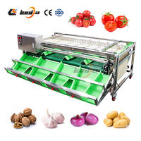 Trieuse de légumes en silicone de qualité alimentaire, trieuse de pommes de terre, machine de tri des olives, équipement de calibrage des pommes de terre