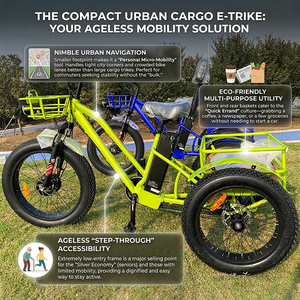 Tricycle adulte 500W à 3 roues, grande capacité, E-Trike écologique pour adultes, stabilité de conduite ultime, tricycle à trois roues S - Product Image 5