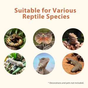 Terrarium/Terrarium moderne en PVC 4x2x2 (120 Gallons) RepWild avec toit en maille robuste et portes coulissantes en verre verrouillables pour reptiles barbus - Product Image 6