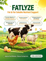 Vente en gros usine : Acides biliaires à 40 % pour stimuler la digestion des graisses et améliorer le FCR des aliments pour volailles de chair et pondeuses