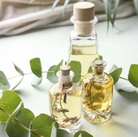 Huile essentielle d'eucalyptus de qualité supérieure 100% pure eucalyptus globulus distillée à la vapeur pour diffuseurs massage et soulagement respiratoire