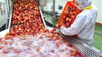 Ligne de production de jus de goyave, pomme et poire industrielle, équipement de transformation de la pulpe de fruits pour matières premières fraîches