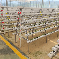 Système hydroponique NFT à économie d'eau pour la culture de légumes en serre agricole commerciale avec canal en tuyau PVC