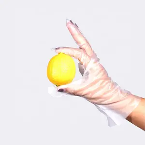 Wholesale Disposable Waterproof Household Glove Disposable