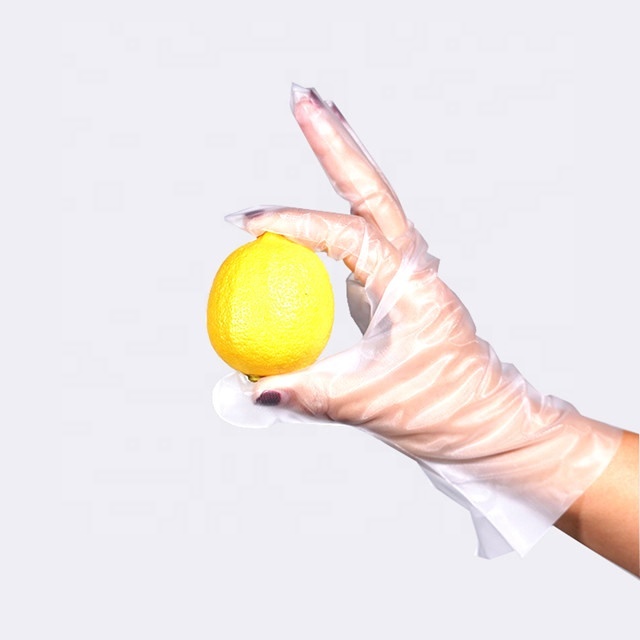 Food Service CPE TPE Disposable Glove