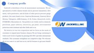 High Performance Vegabar 82 All-rounder <b>Pressure</b> <b>Transmitter</b> Measuring Accuracy_ 0,05% Technical Data - Product Image 4