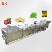 Vruchten En Groenten Wortelen/Kokosnoot Vlees/Paddestoel Blancheren Machine, Continue Amandel Blancheren Machine