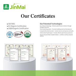 Fertilizzante Liquido Fogliare Organico con Aminoacidi e Micronutrienti Chelati (Zn, <span class=keywords><strong>B</strong></span>, Fe) per Mais <span class=keywords><strong>a</strong></span> Maturazione Precoce e Alta Resa - Product Image 5