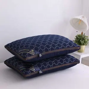 Microfiber 1000g Hot Sale Luxury 5 Star Hotel Pillow 48x74cm Quilted 1kg Hilton Double Lining Pillow
