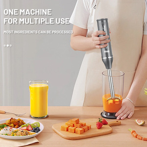 DSP Hand Blender KM1094 300W Stainless Steel Multi Functional Kitchen Immersion Blender For Juicing And <b>Blending</b> - Product Image 2
