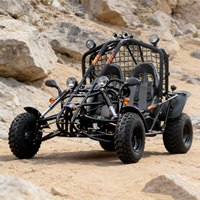 Kart tout-terrain biplace 200cc 4 temps pour adultes, buggy de plage tout-terrain, suspension indépendante, véhicule à chenilles, 60 km/h, fabricant
