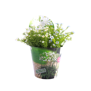 Enveloppes de fleurs imperméables en PP brillant UV pour la maison, enveloppes en plastique coniques, couvre-<span class=keywords><strong>pot</strong></span> de plante - Product Image 5