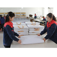 Matelas de tourmaline à ions négatifs Matelas de massage chauffant en tourmaline de soins de santé