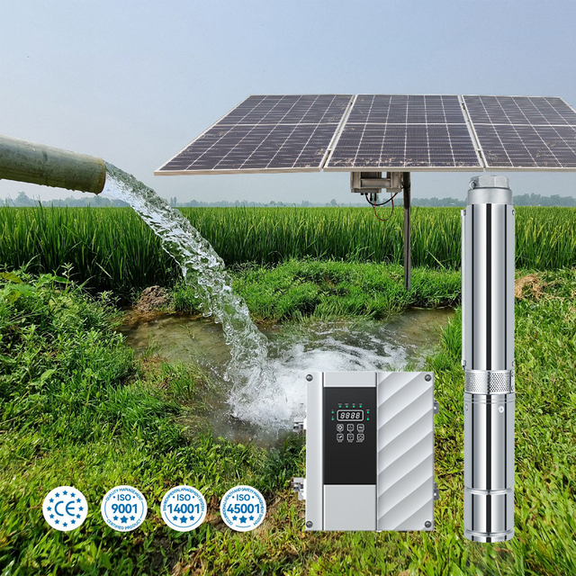 High Efficiency 3 Inch Solar Water Pump for Agriculture DC 48V Power 600W Brushless Solar Powered Submersible Pumps