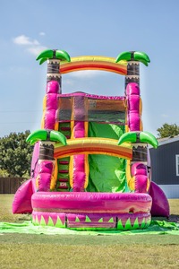 Người lớn thương mại ngoài trời trẻ nhỏ trượt nước bơm hơi lớn cho Công viên Hồ bơi trẻ em và người lớn - Product Image 5