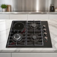 Cuisinière à gaz haute efficacité 4 brûleurs, plaque de cuisson encastrable en verre trempé, double combustible GPL/GN