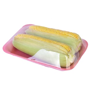 Supermarket Disposable Rectangular PET Foam Chicken Seafood Tray Fresh Fruits Vegetables Meat Packaging Trays