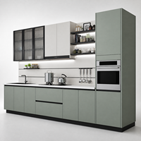 Système d'armoires de cuisine modernes sur mesure, sans poignées, en panneaux de mélamine vert sauge, porte en verre, étagère flottante LED, rangement en acier inoxydable