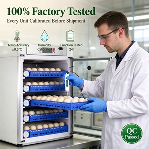 Incubateur solaire pour œufs Sensible Agriculture, incubateur automatique pour œufs, machine d'éclosion de poulets, incubateur pour poulets - Product Image 3