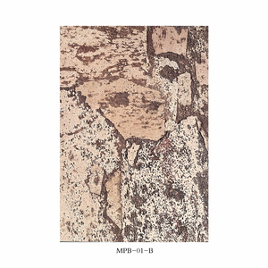 LEECORK 43x61cm Écorce de liège naturel pour <span class=keywords><strong>reptiles</strong></span> Fond de réservoir Reptile Escalade Mur Terrarium Décor Écorce de liège Fond d'écorce - Product Image 1