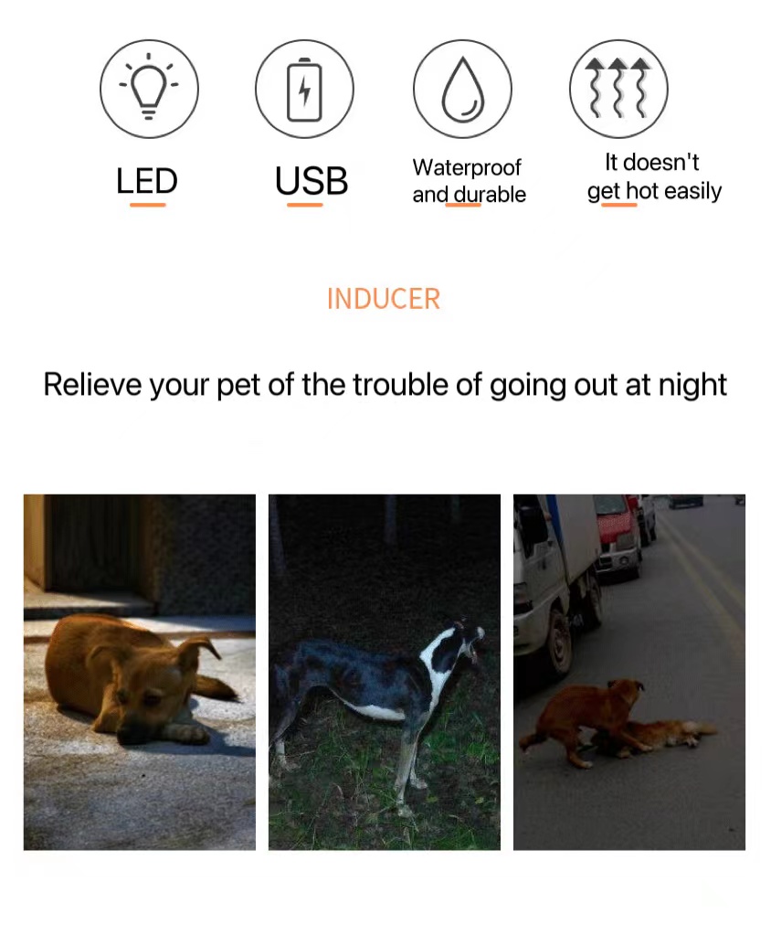 Reflective Night USB Led Dog Pet Collar Leashes Light Up Safety Night Glow Reflecting Product
