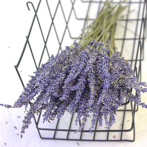 Material de Decoración para Jardín de Verano, Ramo de Flores Secas de Lavanda - Product Image 6