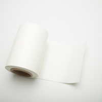 Rouleau de feuille de plastique en polystyrène PS blanc givré pour thermoformage