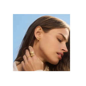 Plume rétro créatif ange aile anneau en acier inoxydable et titane ouvrable 18K placage à la mode garçons anniversaire anneau - Product Image 6