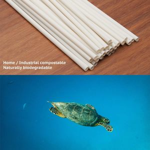 Pajitas Biodegradables y Compostables Ecológicas Desechables para Bebidas, 200 Unidades, 7.87 Pulgadas, Duraderas para Bebidas Calientes/Frías - Product Image 4