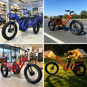 Tricycle adulte 500W à 3 roues, grande capacité, E-Trike écologique pour adultes, stabilité de conduite ultime, tricycle à trois roues S - Product Image 4